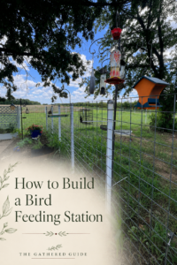 How to Build a Backyard Bird Feeding Station